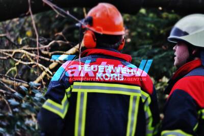 Baum reißt einen weiteren mit und stürzt auf geparkte Autos - Feuerwehr muss Bäume zersägen