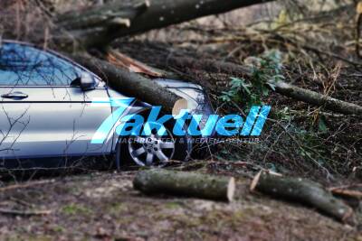 Baum reißt einen weiteren mit und stürzt auf geparkte Autos - Feuerwehr muss Bäume zersägen