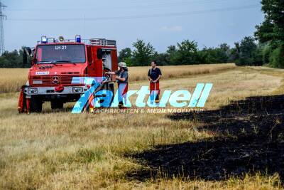 B36 Leopoldshafen: Großer Flächenbrand beschäftigt Feuerwehren - 1,5 Hektar stehen in Flammen