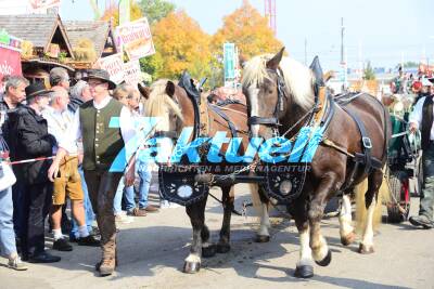 Cannstatter Wasen 2017 -- Impressionen vom Volksfestumzug